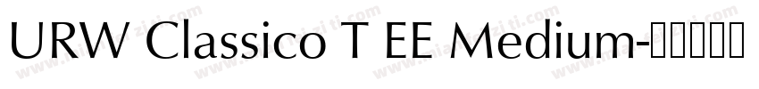 URW Classico T EE Medium字体转换